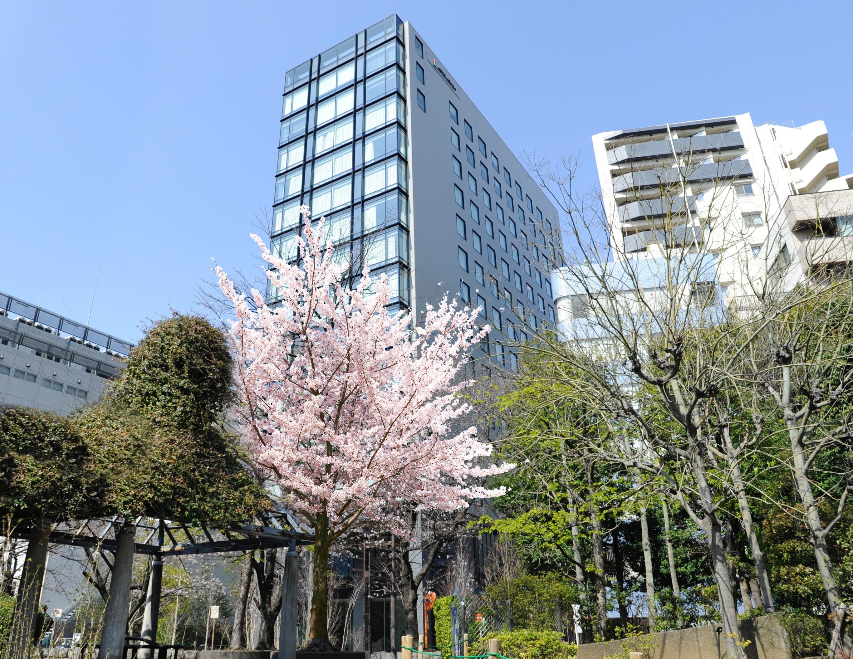 Hotel Keihan Tsukiji Ginza Grande Tokyo Exterior photo